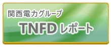 凱旋門 賞 ブック メーカーグループ TNFDレポート