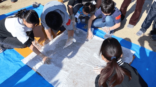 アマモ保全活動